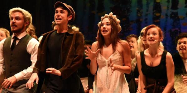 Musical: "Into The Woods"