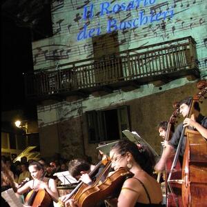Concerti Sinfonici della Trentino Music Festival Orchestra