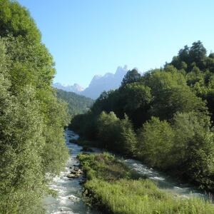 Giornata Pulizia Torrente Cismon