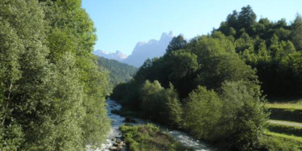 Giornata Pulizia Torrente Cismon