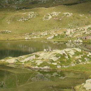 Incontriamo  Claudio Morandini (scrittore della montagna) 