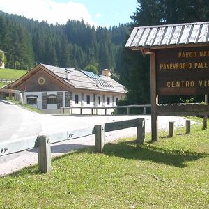 Breve escursione nella "Foresta dei Violini"