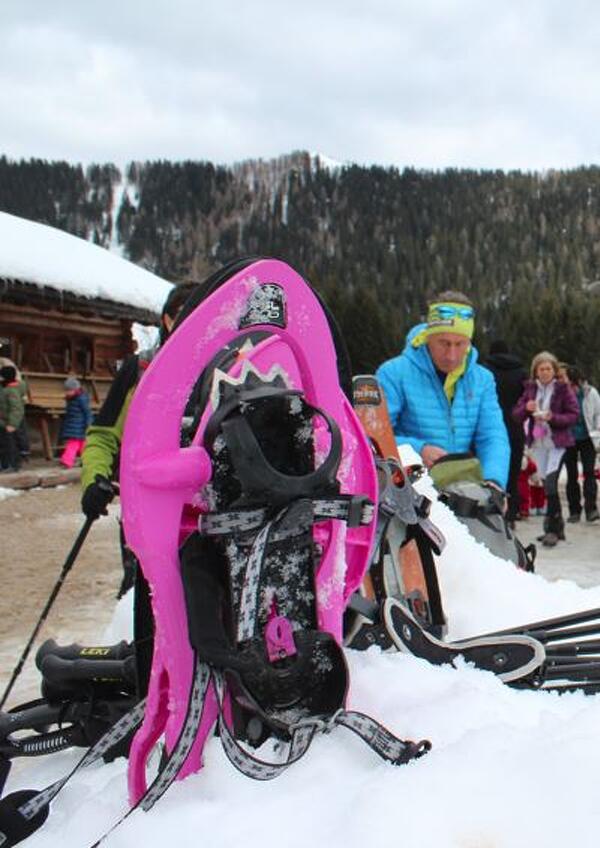 CraspaMagna Dolomitica