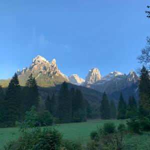 Un Tour in Carrozza nell'Inverno della Val Canali