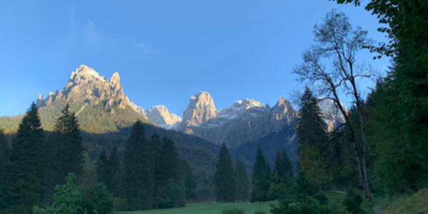 Un Tour in Carrozza nell'Inverno della Val Canali