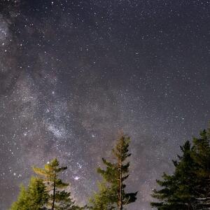 Scorci Notturni con Accompagnatore di Media Montagna