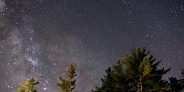 Scorci Notturni con Accompagnatore di Media Montagna