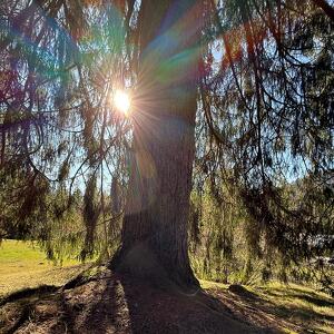 Respirare in Natura