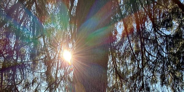Respirare in Natura