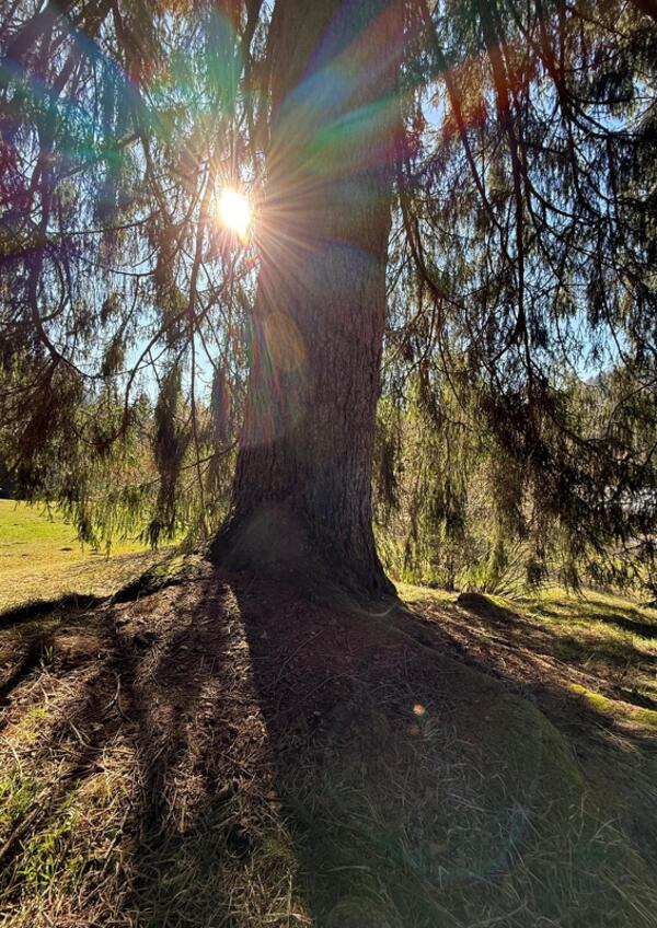 Respirare in Natura