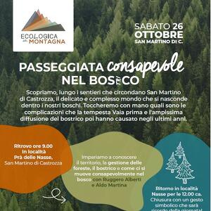 Passeggiata Consapevole nel Bos(tri)co
