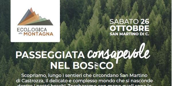 Passeggiata Consapevole nel Bos(tri)co