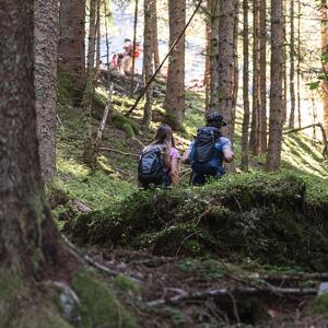 Festa delle Brise e del Bosco