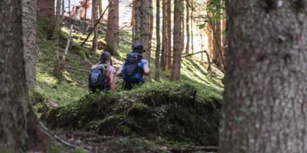 Festa delle Brise e del Bosco