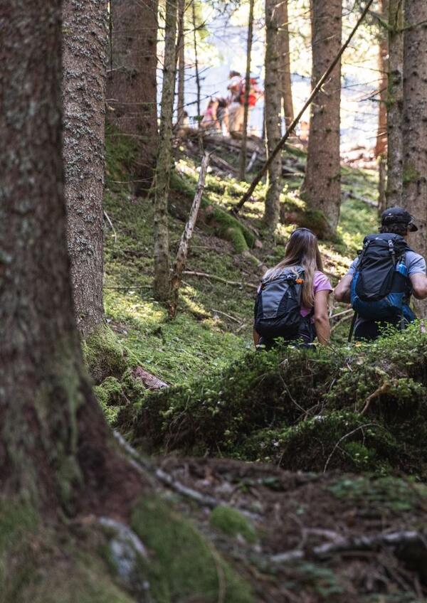 Festa delle Brise e del Bosco