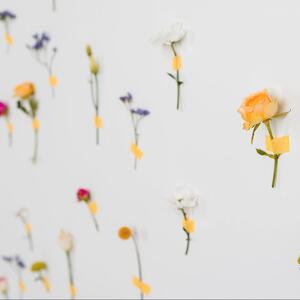 Libertà è partecipazione