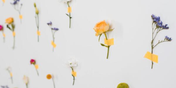 Libertà è partecipazione