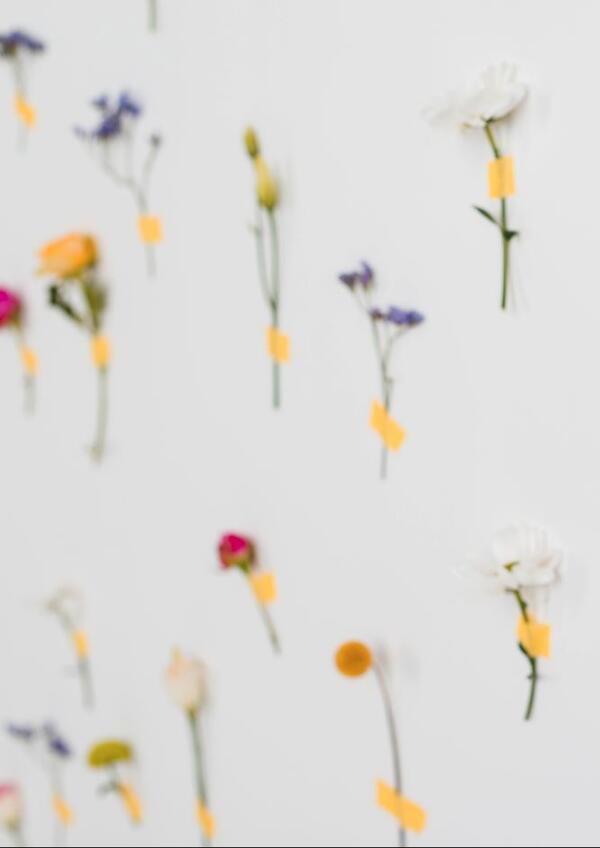 Libertà è partecipazione