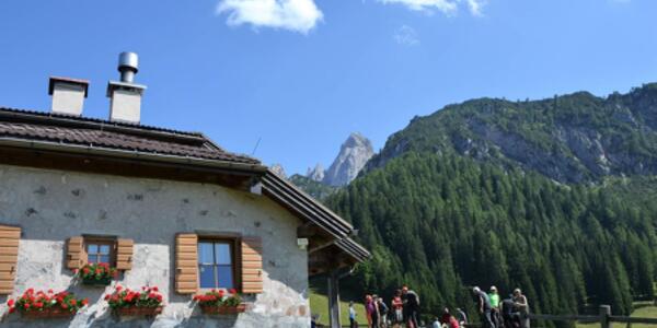#ALBEINMALGA for Family - Malga Fossetta