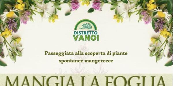 Mangia la Foglia.. Quella Giusta!