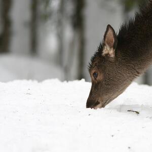 Il Parco in Famiglia