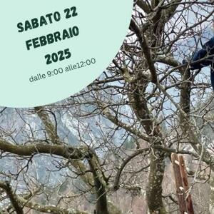 Corso sulla potatura