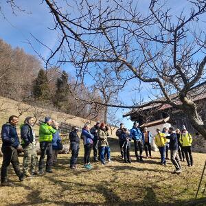 Corso sulla potatura