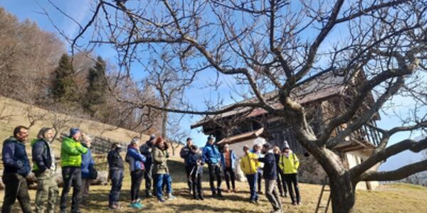 Corso sulla potatura