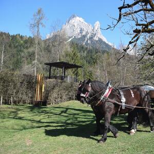 Primavera in Val Canali
