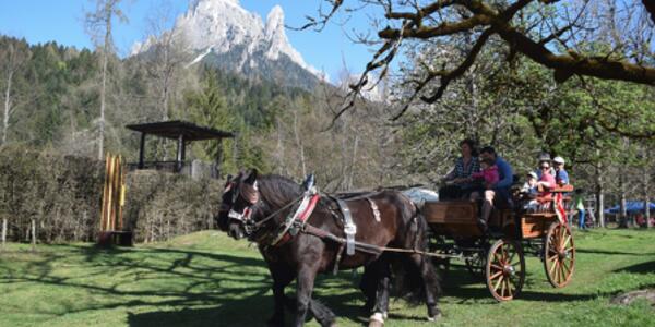 Primavera in Val Canali