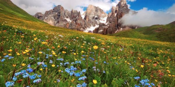 I Giochi sul Sentiero della Pace