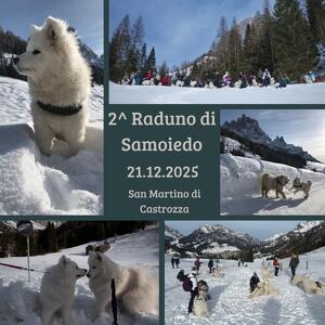 2° Raduno Samoiedo & Co.