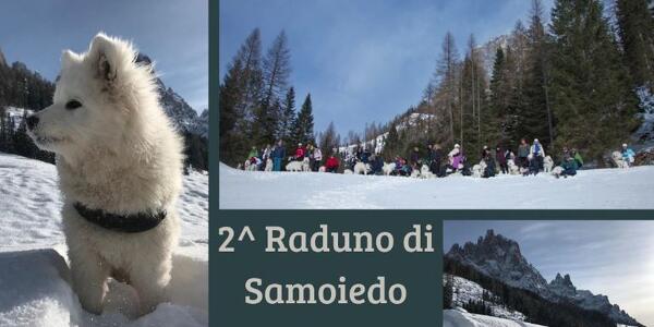 2° Raduno Samoiedo & Co.