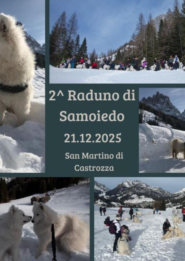2° Raduno Samoiedo & Co.