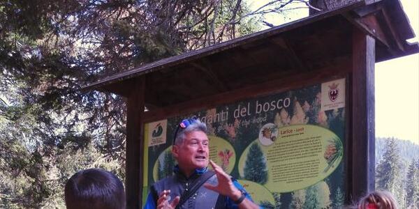 Sulle tracce di...