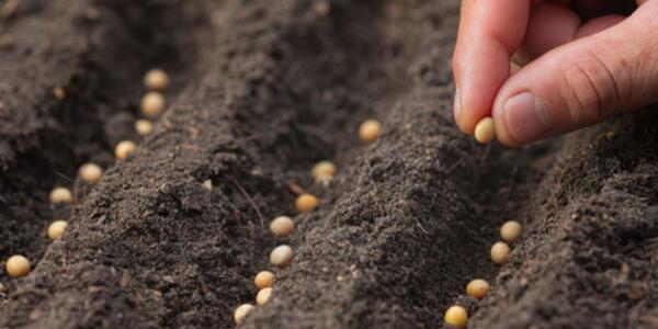 Pomeriggio delle Tradizioni