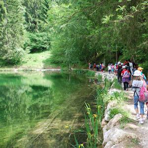 Parco in Famiglia