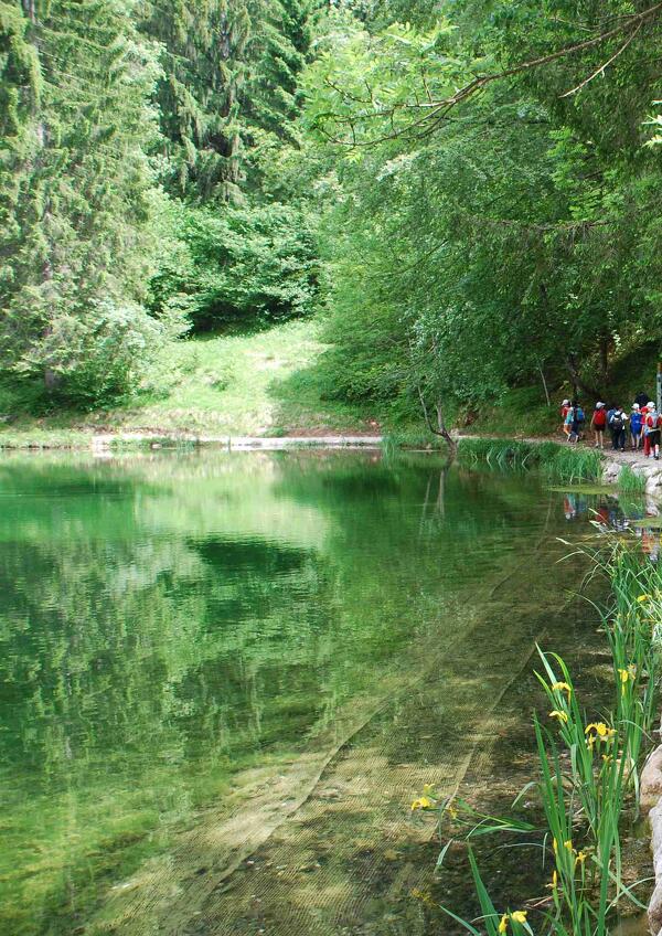 Parco in Famiglia