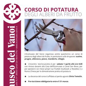 Corso di potatura di alberi da frutto