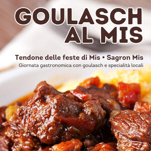 Goulasch al Mis