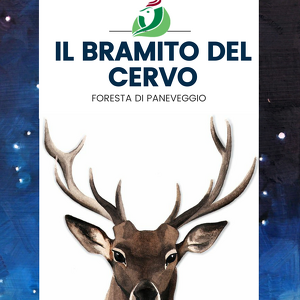 Il bramito del cervo