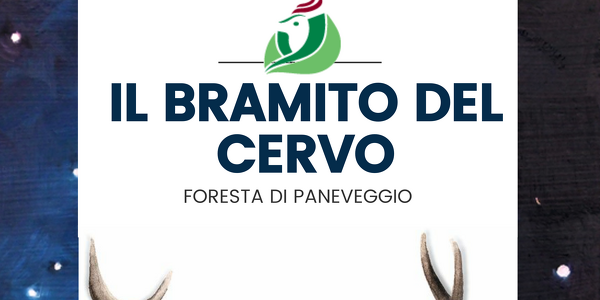 Il bramito del cervo