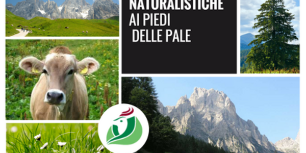 Escursioni naturalistiche ai piedi delle Pale