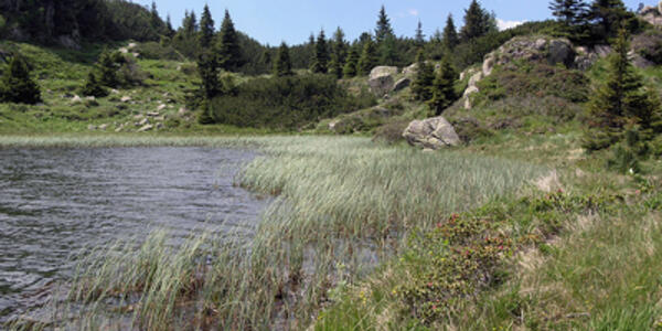 Presentazione del "Quaderno del Parco" sui laghi di Colbricon e Cavallazza