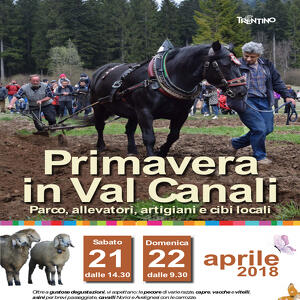 Primavera in Val Canali