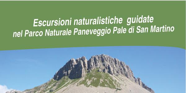 Cima del Castellazzo: natura, paesaggi, storia, cultura
