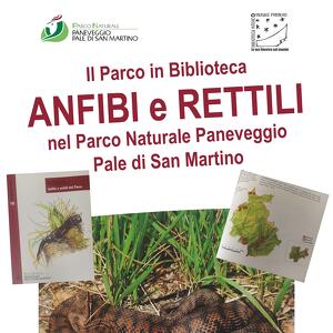 Anfibi e rettili nel Parco Naturale Paneveggio  Pale di San Martino