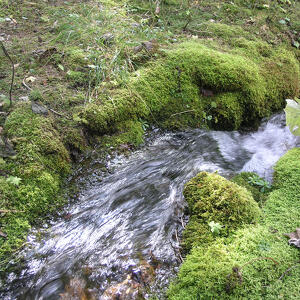 “Le risorse idriche sulle Pale di San Martino”