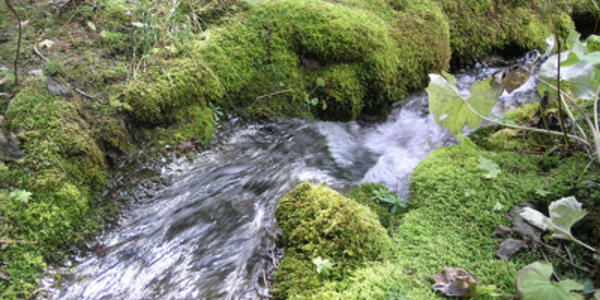 “Le risorse idriche sulle Pale di San Martino”