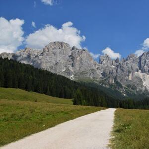 Val Venegia e la grande estinzione biologica di massa 